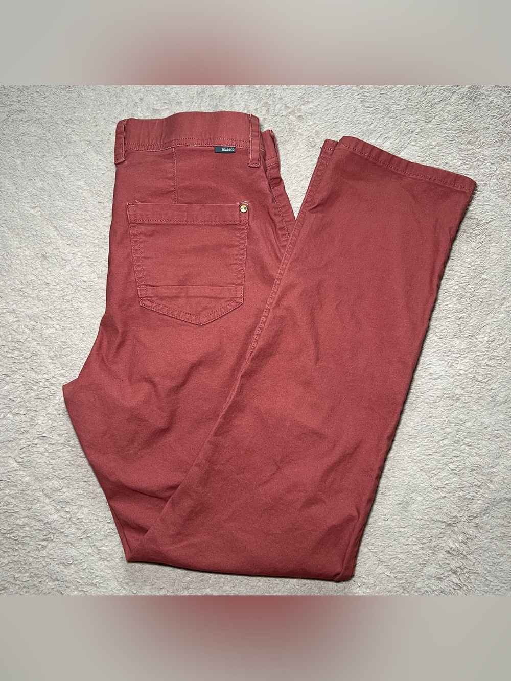 Toad&Co Earthworks Ankle Pants Utility Outdoor Hiking Organic Cotton Sz 10